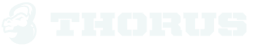thorus.png